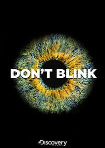 Watch Don't Blink