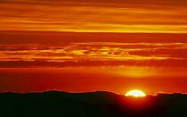 Watch Blood Meridian