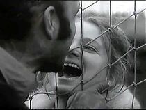 Watch Niedziela Barabasza (TV Short 1972)