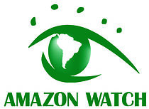 Watch Protecting the Amazon Demands Radical Change (TV Short 2020)