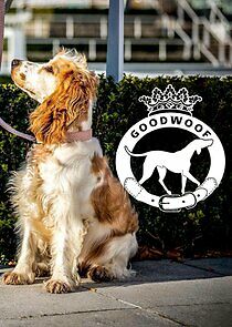 Watch Goodwoof