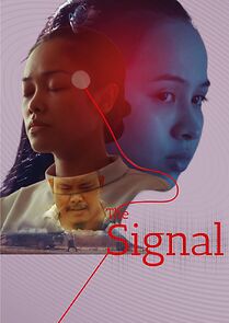 Watch The Signal