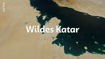 Watch Wildes Katar