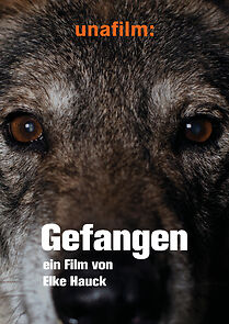 Watch Gefangen