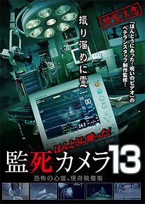 Watch Paranormal Surveillance Camera 13