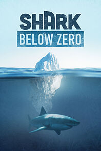Watch Shark Below Zero