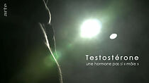 Watch Testosteron - Der Stoff aus dem die Männer sind