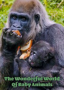 Watch The Wonderful World of Baby Animals