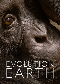 Watch Evolution Earth