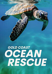 Watch Gold Coast Ocean Rescue