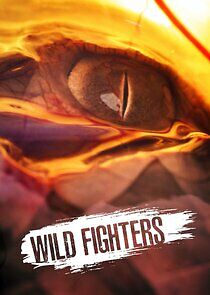 Watch Wild Fighters