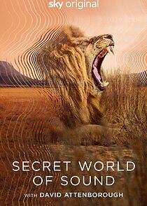 Watch Secret World of Sound with David Attenborough