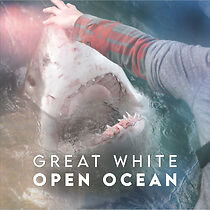 Watch Great White Open Ocean