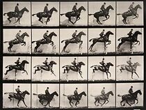 Watch Man Riding Jumping Horse (Short 1887)