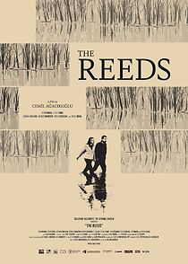 Watch The Reeds
