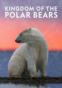 Watch Kingdom of the Polar Bears