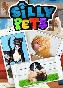 Watch Silly Pets