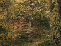 Watch Garden of Clay (Short 2022)