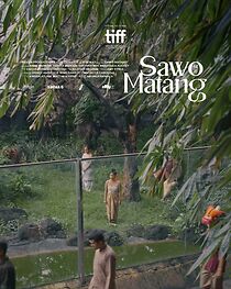 Watch Sawo Matang (Short 2023)