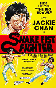 Watch Snake Fist Fighter