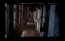 Watch Air Force Two (Short 2023)