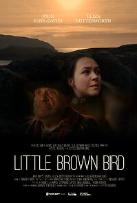 Watch Little Brown Bird (Short)