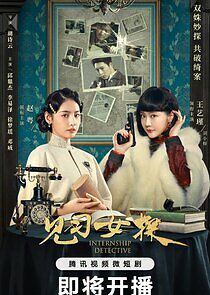 Watch Internship Detective