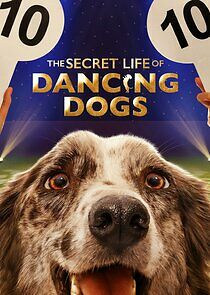 Watch The Secret Life of Dancing Dogs