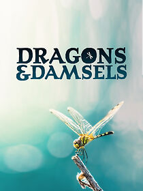 Watch Dragons & Damsels (TV Special 2019)