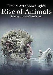Watch David Attenborough's Rise of Animals