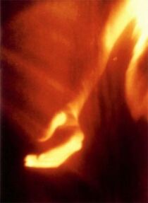 Watch Fire Birth (Short 2002)