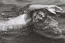 Watch Veljko od mora