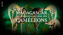 Watch Madagascar ou le grand carnaval des caméléons