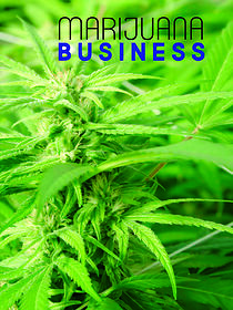 Watch Marijuana Business