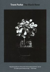 Watch Trent Parke: The Black Rose (Short 2015)