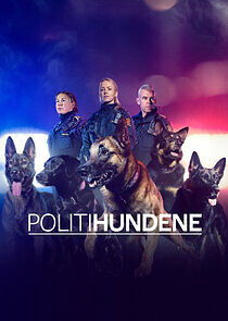 Watch Politihundene