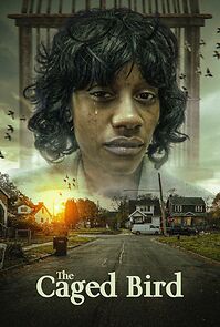 Watch The Caged Bird