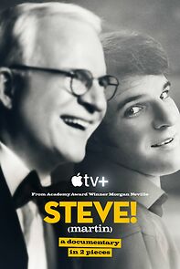 Watch Steve! (Martin) a Documentary in 2 Pieces