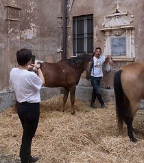 Watch De caballos y guitarras