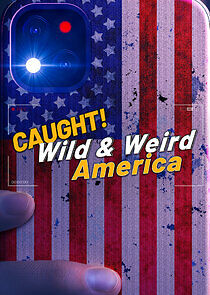 Watch Wild & Weird America