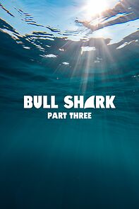 Watch Bull Shark Part Three