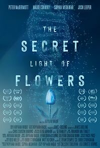 Watch The Secret Light of Flowers (Short)