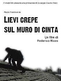 Watch Lievi crepe sul muro di cinta