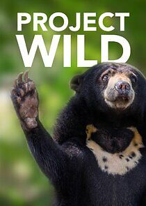 Watch Project Wild