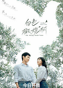 Watch The White Olive Tree