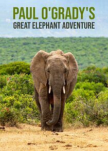 Watch Paul O'Grady's Great Elephant Adventure