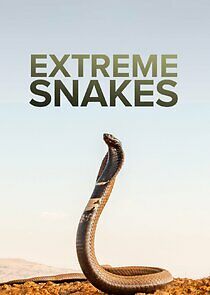 Watch Extreme Snakes