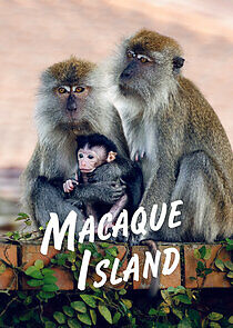 Watch Macaque Island