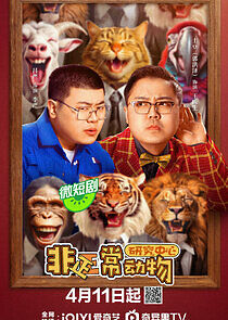 Watch Fei Zheng Chang Dong Wu Yan Jiu Zong Xin