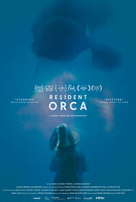 Watch Resident Orca